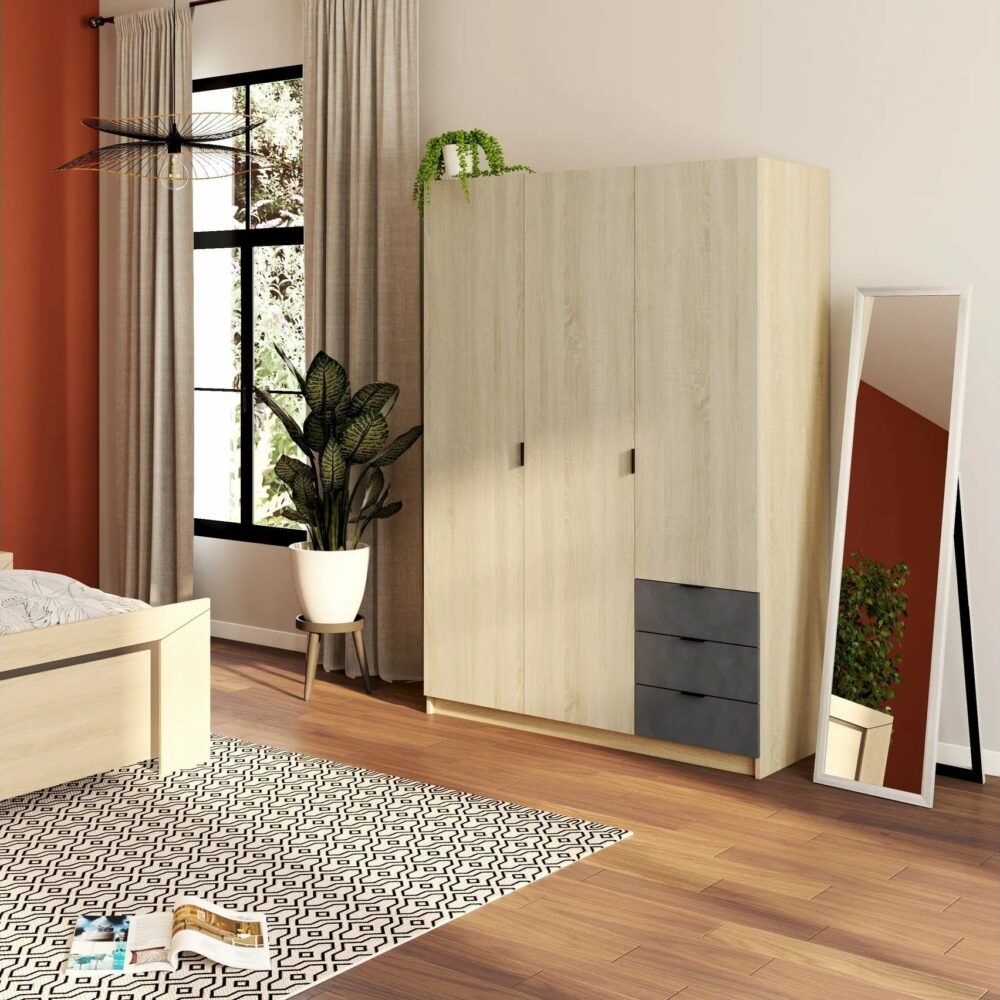 telechargement_3_c3f115c1-7ffb-41bb-b6e6-ba911f3e962e Armoire 3 portes + 3 tiroirs AYALA imitation Chêne et noir