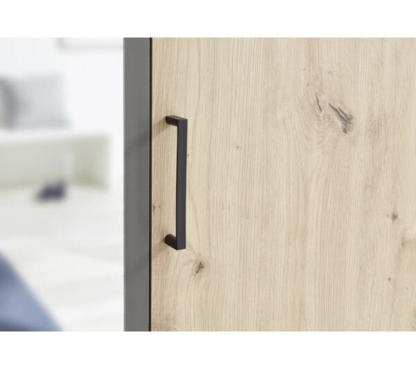 telechargement_4_75bf32a6-ef05-45c0-b8ab-d2b485e06fe0 Armoire avec penderie et tiroirs ARTY imitation chêne et gris