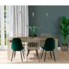 Chaise LYNETTE 2 verte/pieds noir